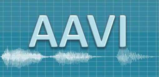 Indonesian acoustics Indonesian Acoustics and Vibration Association